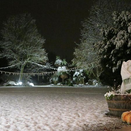 Da Gastone Villa Rivignano Dış mekan fotoğraf