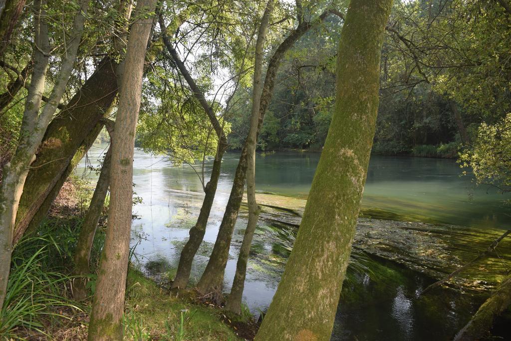 Da Gastone Villa Rivignano Dış mekan fotoğraf