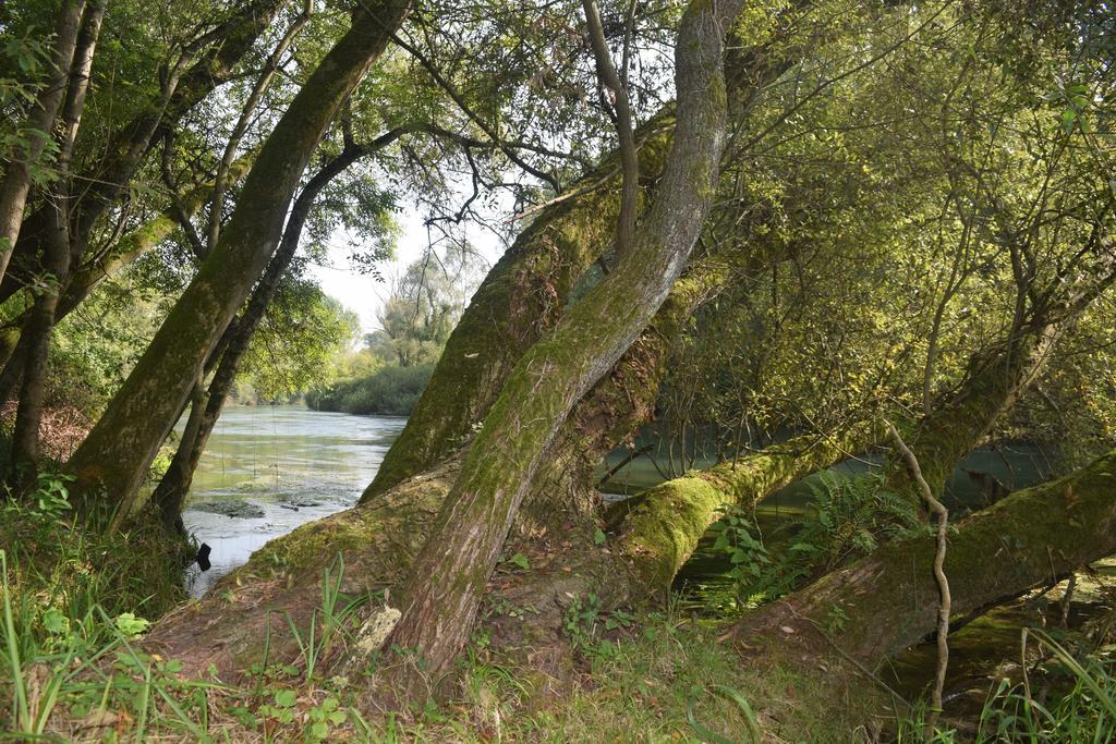 Da Gastone Villa Rivignano Dış mekan fotoğraf