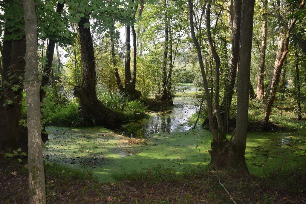 Da Gastone Villa Rivignano Dış mekan fotoğraf