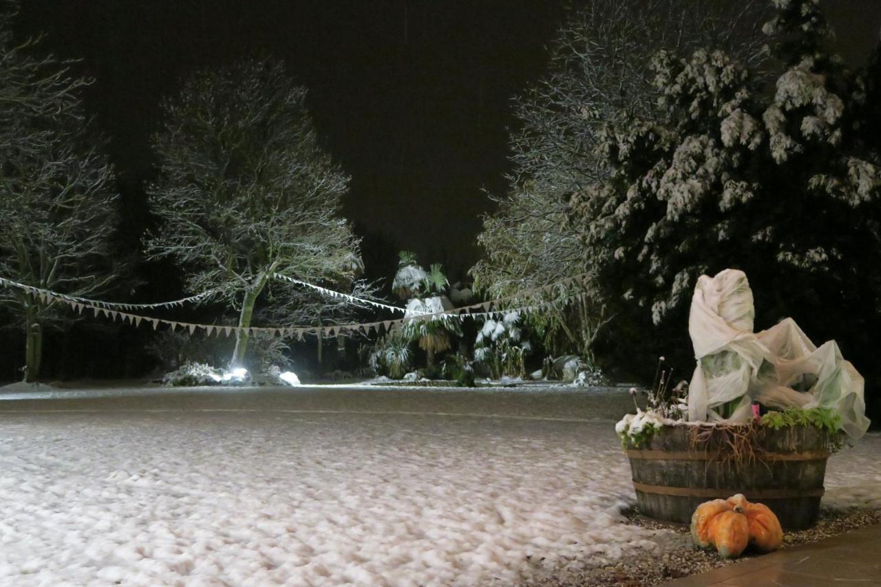 Da Gastone Villa Rivignano Dış mekan fotoğraf